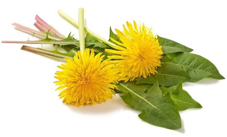 NEOflorax contient du pissenlit