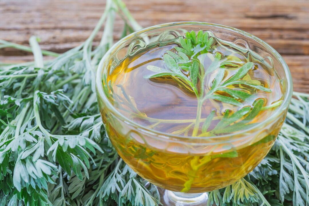 décoction d'absinthe pour les parasites