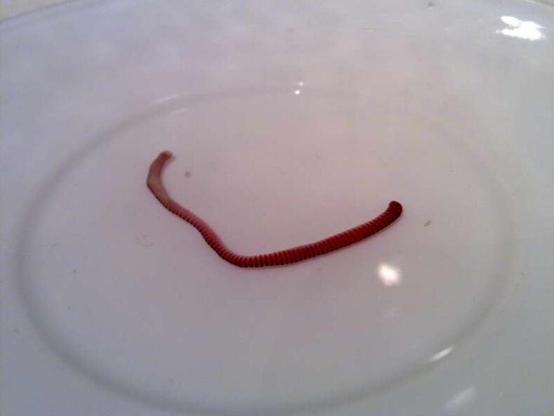parasite du corps humain